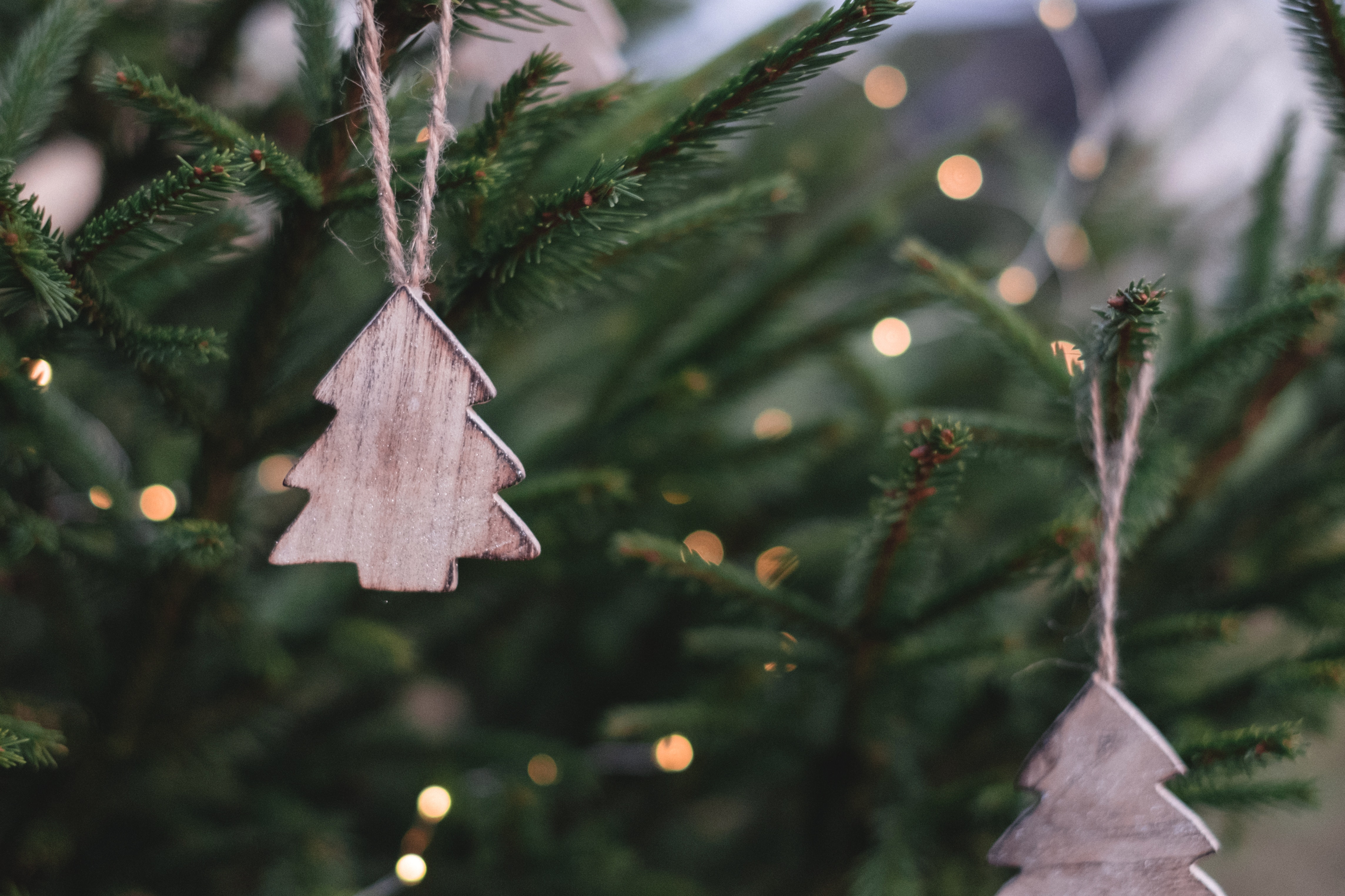 Kerstboom opruimen